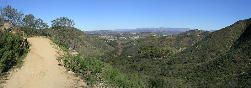 ElfinForest-24DEC04-WayUpPan.jpg (572456 bytes)