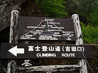 Photo Courtesy of Drew