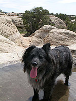 images/Trails/Utah-StGeorge/RoadTrip2005-Day3-Gooseberry-09.jpg