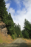 Lower Dungeness and Gold Creek Trails